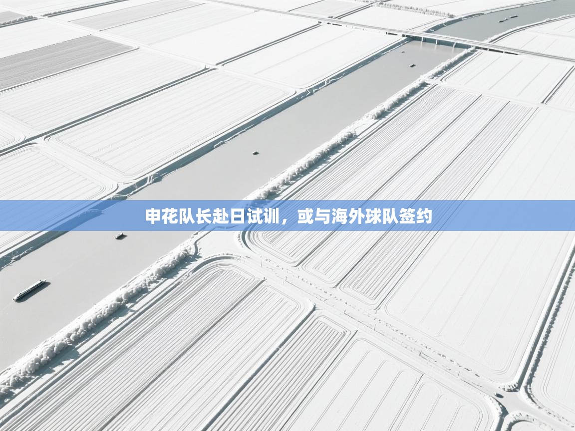 申花队长赴日试训,或与海外球队签约 第1张