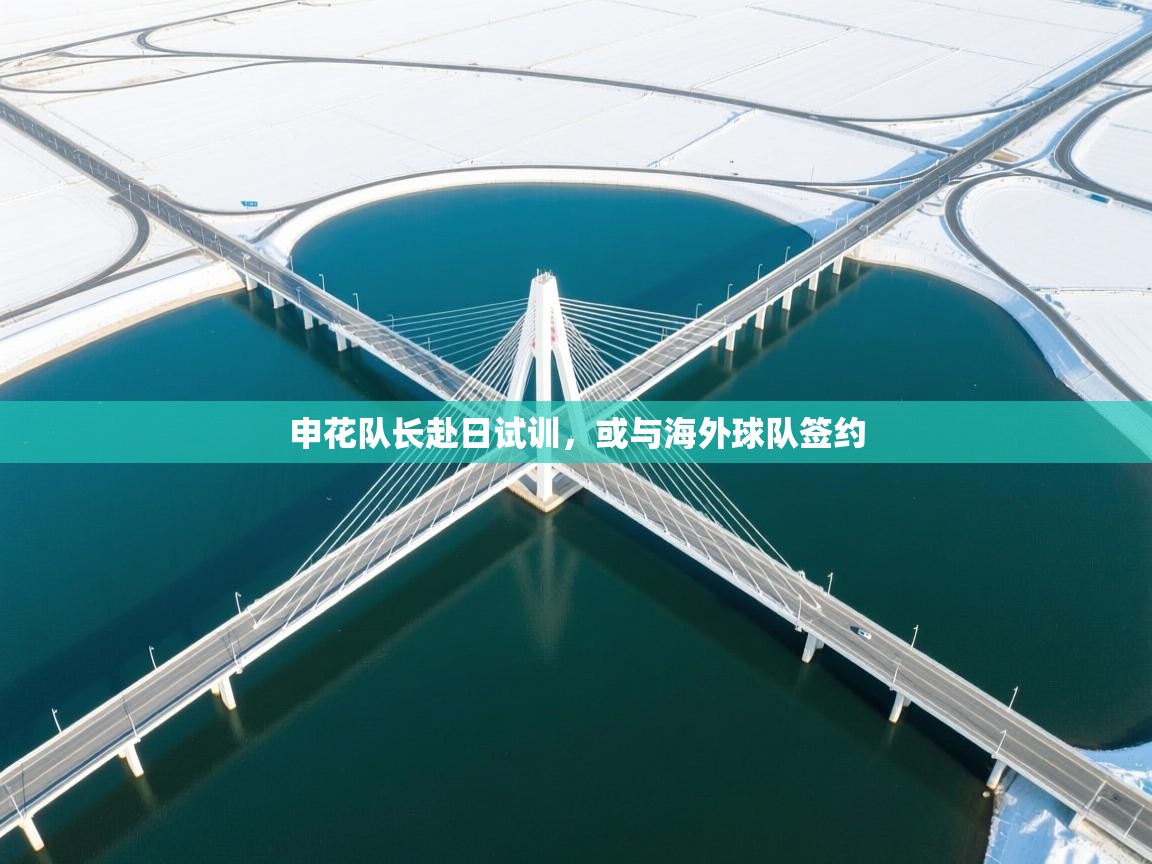 申花队长赴日试训,或与海外球队签约 第2张