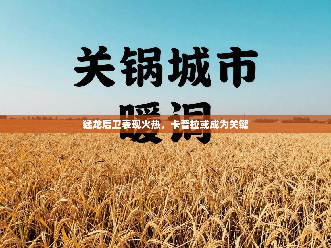 猛龙后卫表现火热，卡普拉或成为关键  第1张